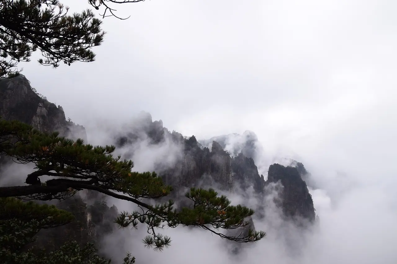 Pinheiro icônico crescendo em penhasco nas Montanhas Amarelas, com mar de nuvens ao fundo ao amanhecer.