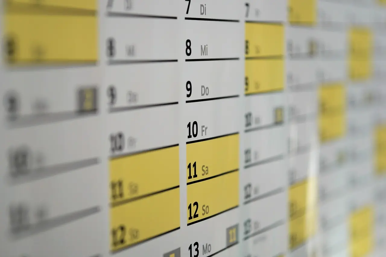 Calendário anual com ícones indicando melhores meses para cada atividade