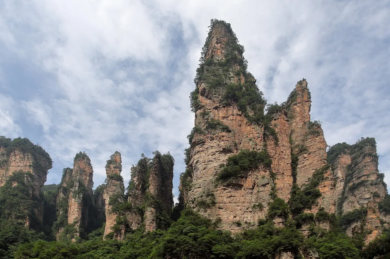 Pináculos rochosos cobertos de vegetação em Zhangjiajie, envoltos em névoa matinal.