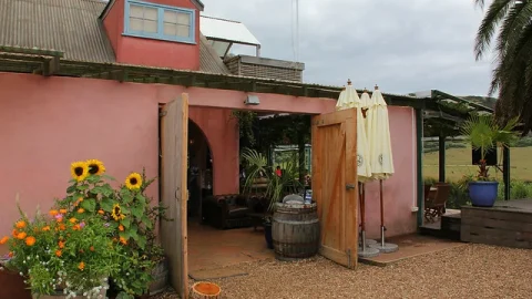 Vinhedo Stonyridge