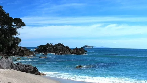 Porto de Tauranga