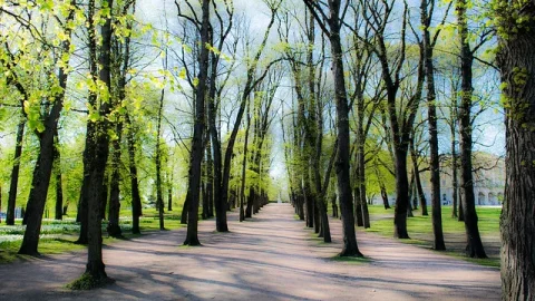 Parque do Palácio de Oslo (Slottsparken)