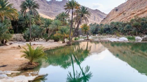 Wadi Bani Khalid