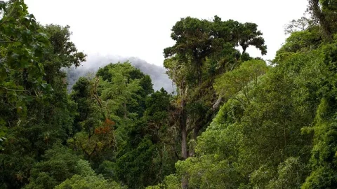 Parque Nacional Volcán Barú