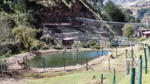 Santuario Animal de Cochahuasi