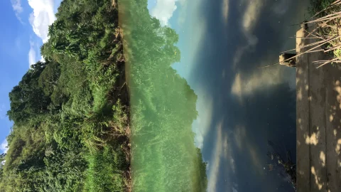 Rio Abatan