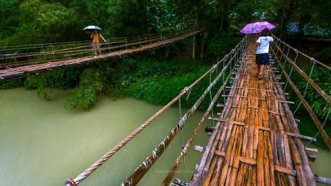Ponte Suspensa de Bambu de Sevilla