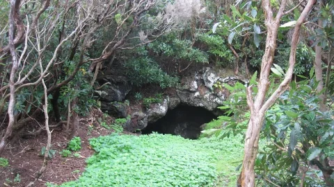 Cabeço do Canto