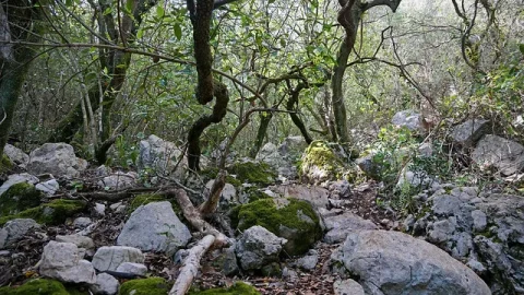 Parque Natural da Arrábida