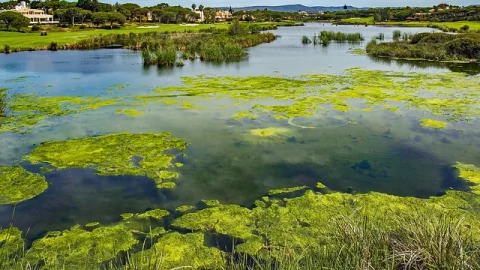 Parque Natural da Ria Formosa