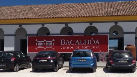 Bacalhôa Vinhos de Portugal