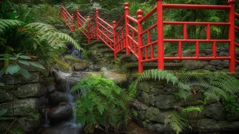 Jardins Botânicos da Madeira