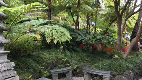 Jardins Tropicais do Monte Palace