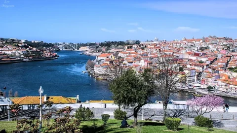 Jardim do Morro