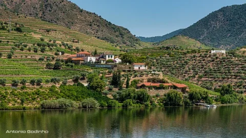 Quinta do Bomfim