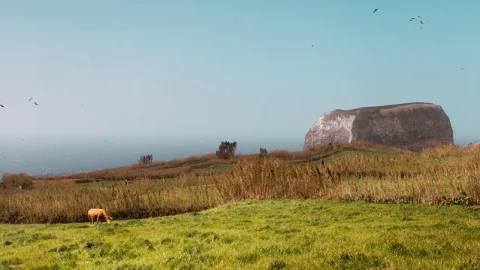 Morro de Castelo Branco