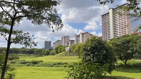 Ang Mo Kio (AMK)