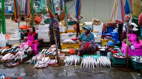 Mercado de Peixes Jagalchi