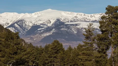 Masella