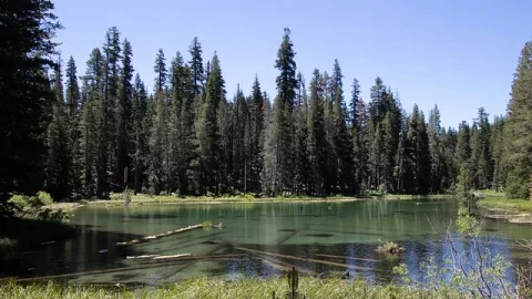 Lagoa das Ostras