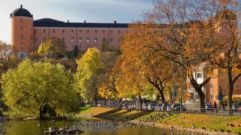 Castelo de Uppsala (Uppsala Slott)