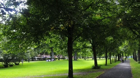 Parque do Rei (Kungsparken)