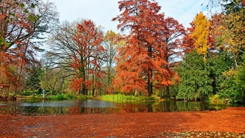 Jardim Botânico de Uppsala