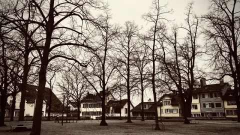 Lindenhof