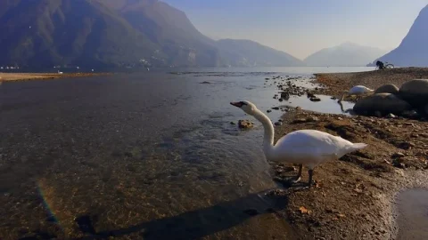 Lago de Lugano