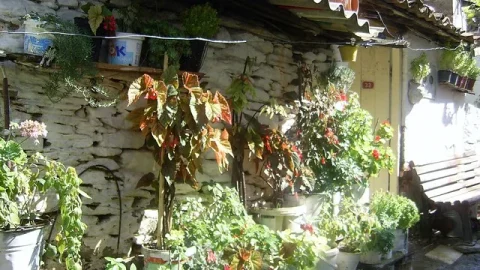 Şirince