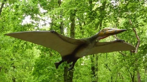 Dinopark