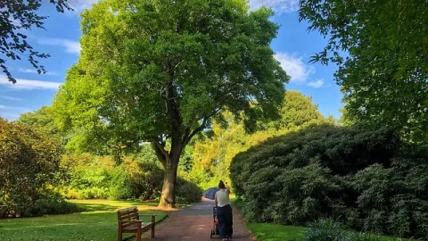 Jardim Botânico Real de Edimburgo