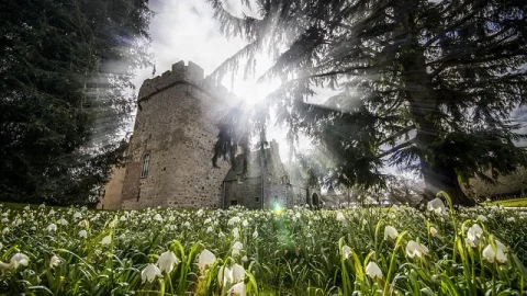 Castelo, Jardim e Propriedade de Drum