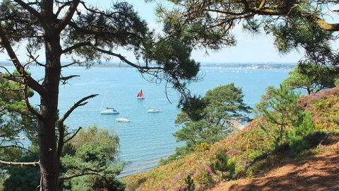 Ilha de Brownsea