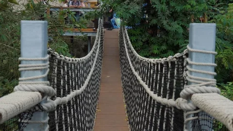 Eden Project