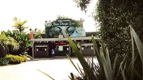 Zoológico de San Diego