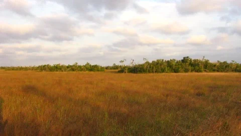 Parque Nacional Everglades