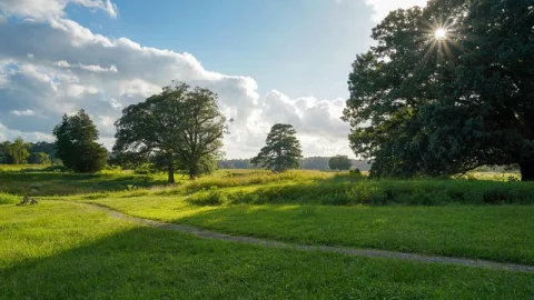 Campo de Batalha de Yorktown