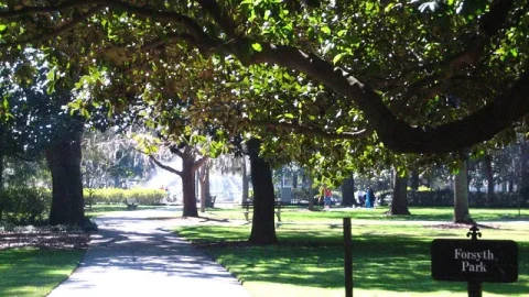 Forsyth Park