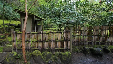 Jardim Japonês de Portland