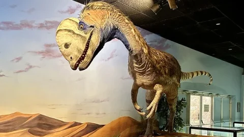 Museu de História Natural de Las Vegas