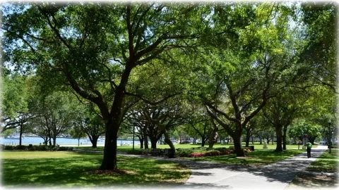 North Straub Park