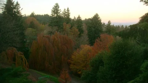 Hoyt Arboretum