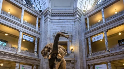 Museu Nacional de História Natural