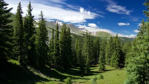 Trilha do Colorado