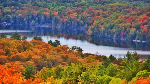 Pinnacle Peak Park