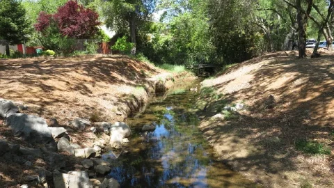 Cameron Park