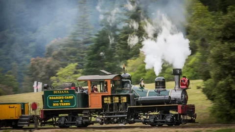 Roaring Camp Railroads