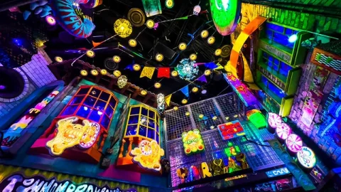 Meow Wolf Grapevine (The Real Unreal)