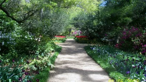 Airlie Gardens